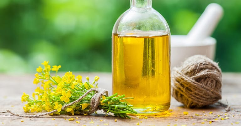 Is Canola Oil Good for You? Here Are the Opinions of Dietitians